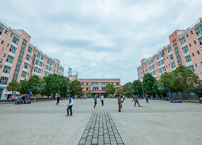 怎么样选择一个好专业