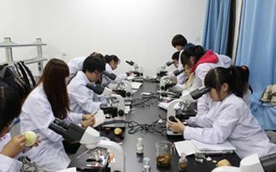 湖北中医药高等专科学校2023年怎么样、好不好