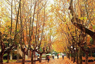 滁州学院