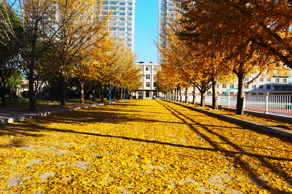 锦州市现代服务学校