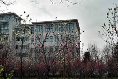 阜阳幼儿师范高等专科学校