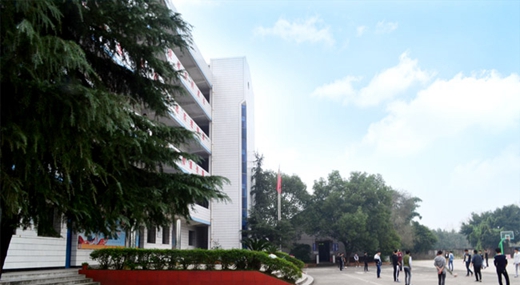 自贡市飞鱼职业学校