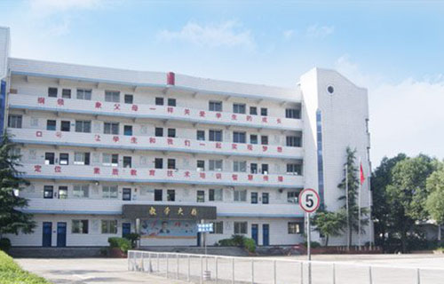 教学大量
