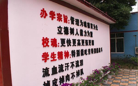 成都棠湖科学技术学校