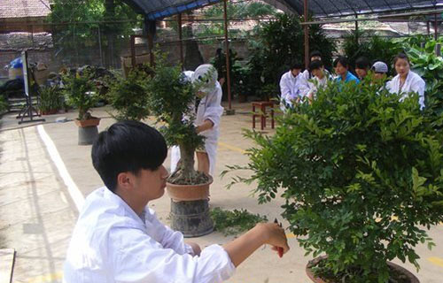 教学现场
