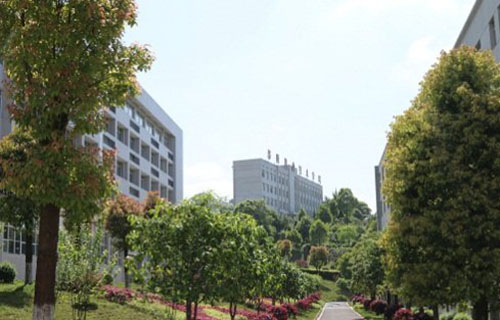 校园小道