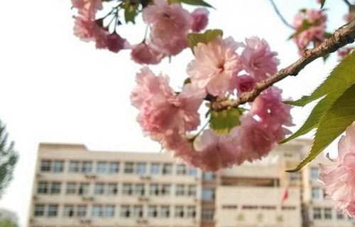 校园景色 