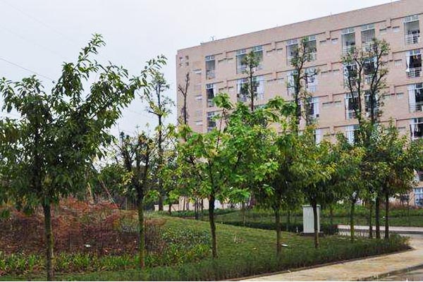 四川省财政学校怎么样