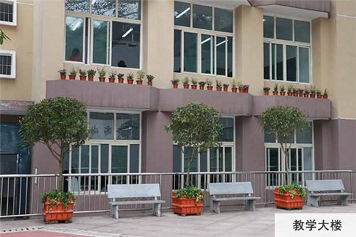 重庆医药经贸学校盆栽