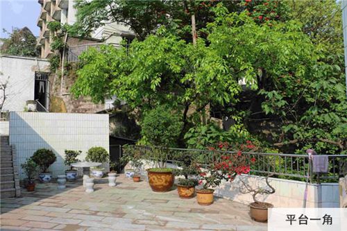 重庆医药经贸学校盆栽