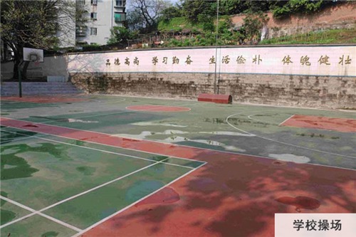 重庆医药经贸学校盆栽