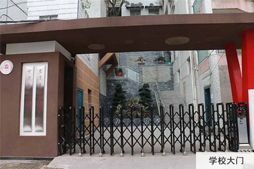重庆医药经贸学校盆栽
