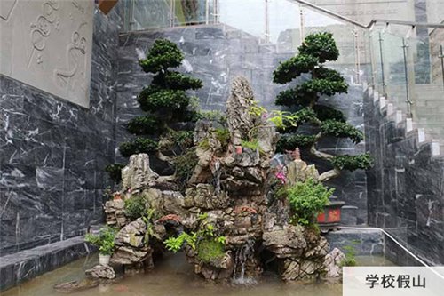 重庆医药经贸学校盆栽