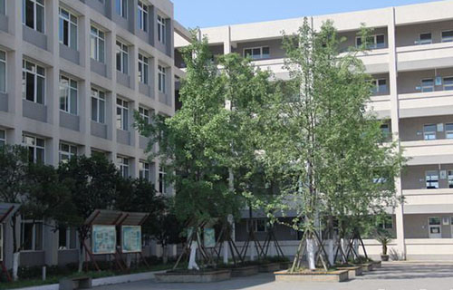 大邑县技工学校校园一隅