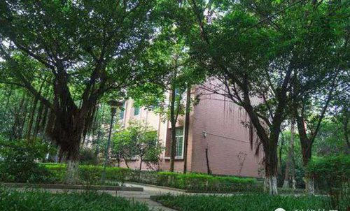 重庆市科能高级技工学校校园台阶
