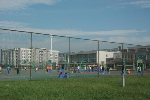 6.bmp