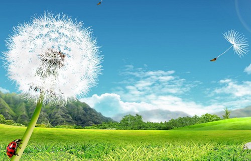 西昌艺术设计学校2021年招生简章