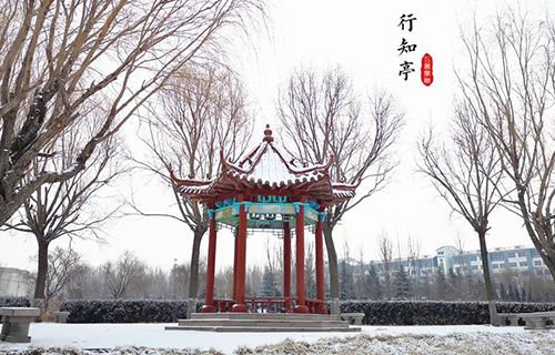 潍坊工商职业学院