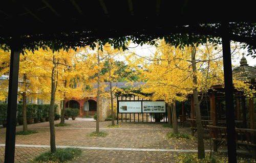 石家庄计算机学校