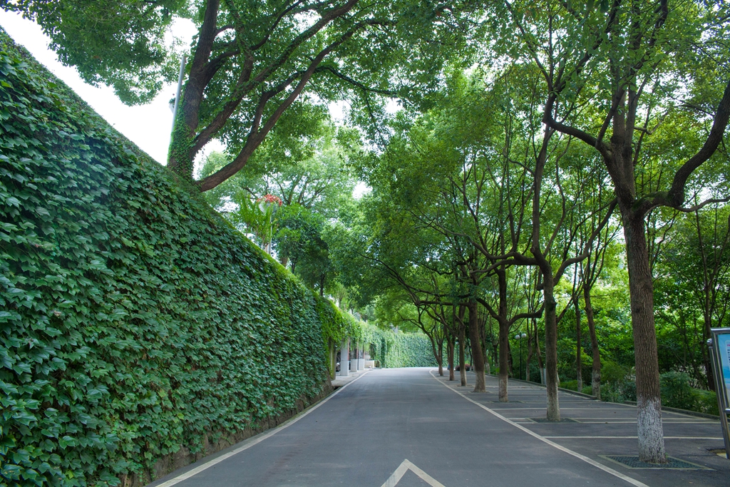 重庆市计算机职业高级中学