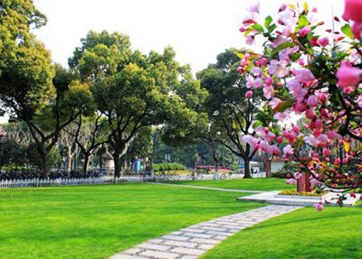 成都格外艺术学校学校风景