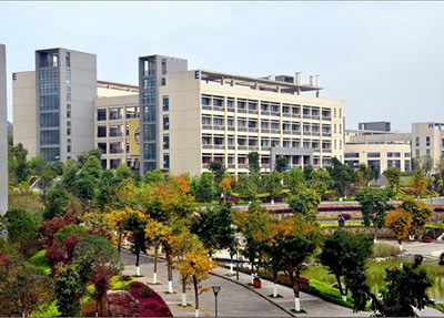 重庆工业职业技术学校林荫小道