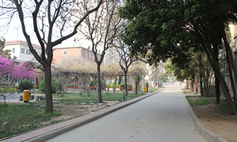 河南省幼儿师范学校