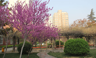 河南省幼儿师范学校
