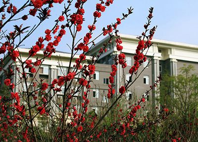 重庆能源职业学院校园风景