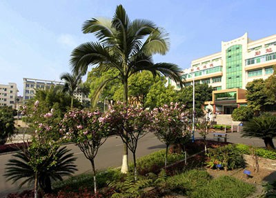 眉山二桥职业学校学校环境