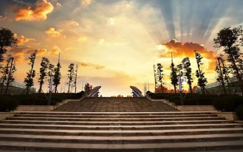 2024年郯城县中等职业技术教育中心学校有哪些专业