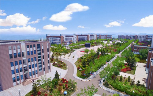 2023年上海市奉贤中等专业学校有哪些专业