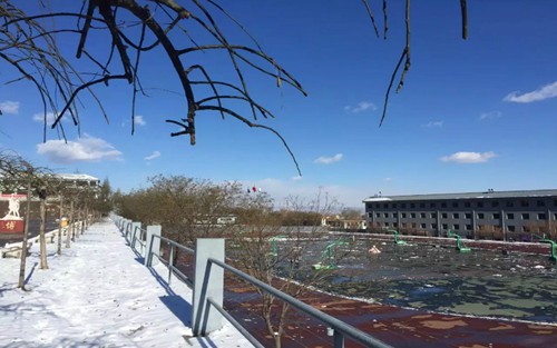 2023年石家庄人民医学高等专科学校有哪些专业