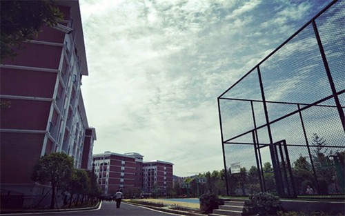 2024年会东电子科技学校有哪些专业