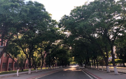 2023年华宁县职业高级中学有哪些专业