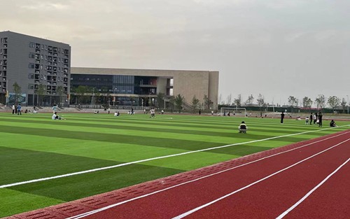 2023年焦作大学有哪些专业