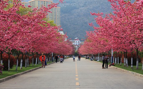 2023年益阳市扬帆育才职业学校有哪些专业