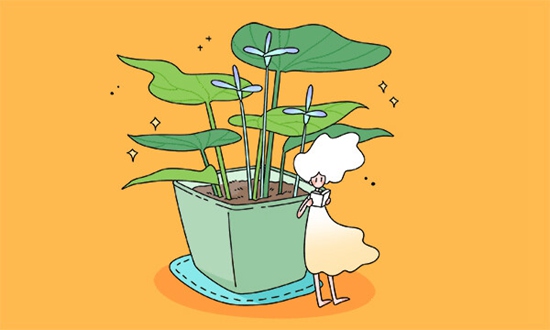 自贡特殊教育学校2025年招生简章
