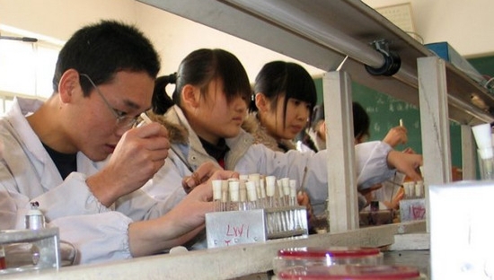 农村医学专业