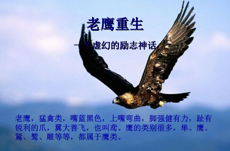2024龙岩卫生学校开设的专业一览表