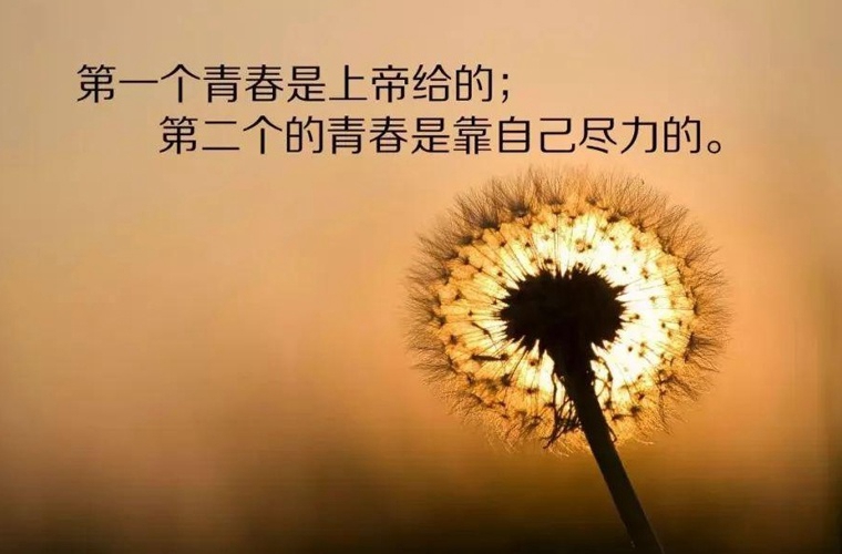 玉溪体育运动学校2024年招生简章
