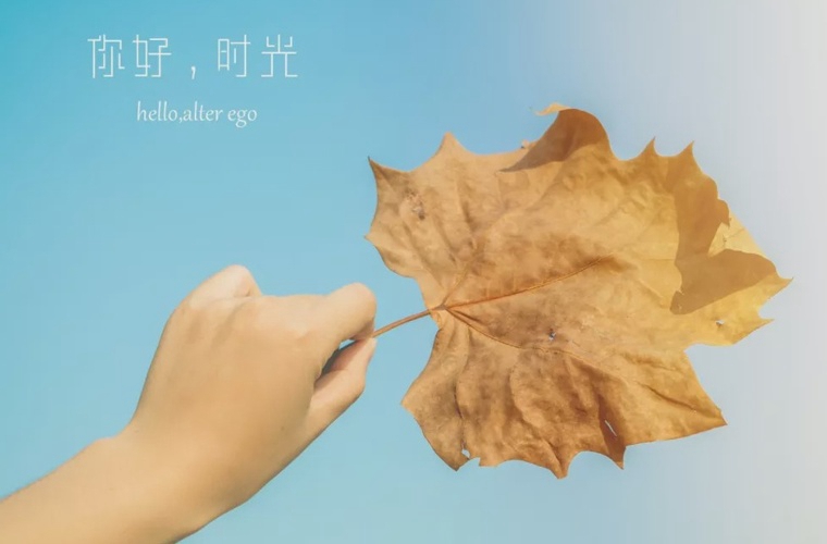 四川省仁寿县第五高级职业中学具体地址 学校好不好
