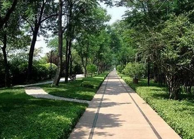 文山州卫生学校2024年报名一年多少学费