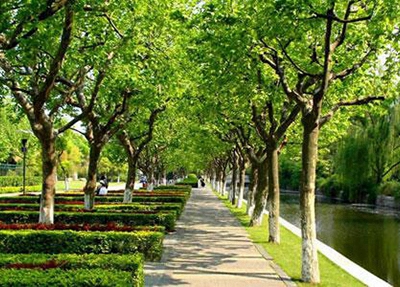 成都文化艺术学校2025年宿舍条件