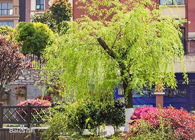 武汉江夏卫生学校2025年宿舍条件