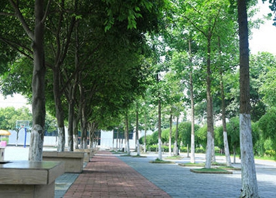 会泽职业技术学校2024年报名学费多少钱
