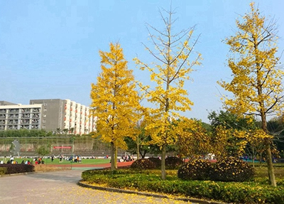 景洪市职业高级中学2025年宿舍条件