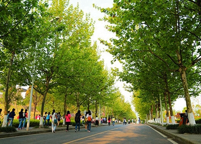 西昌铁路高级技工学校2024年学费多少？贵吗？
