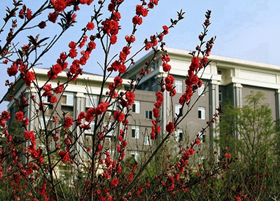 云南工业技师学院2024年学费多少钱一年