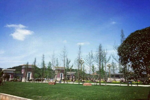 四川护理职业学院五年制大专2023年招生计划